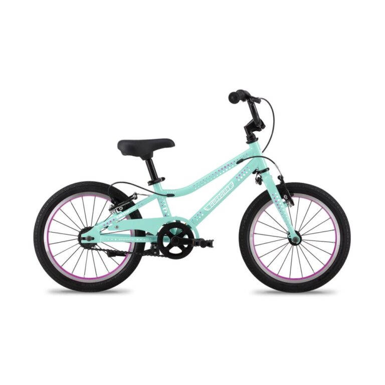 Guardian Bikes 16 Inch Bike